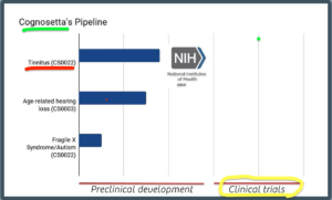 Cognosetta Tinnitus Pipeline