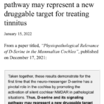 D-serine drug target tinnitus article 2022
